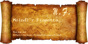 Molnár Fiametta névjegykártya